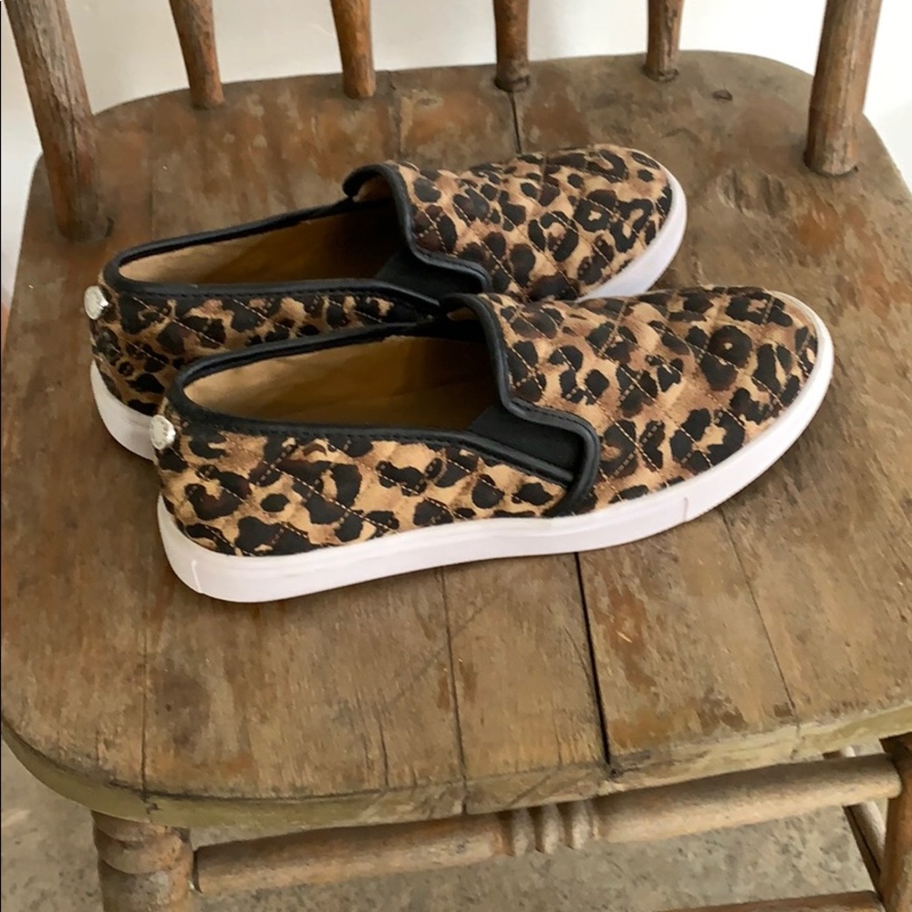 Steve Madden shoes. Leopard print.